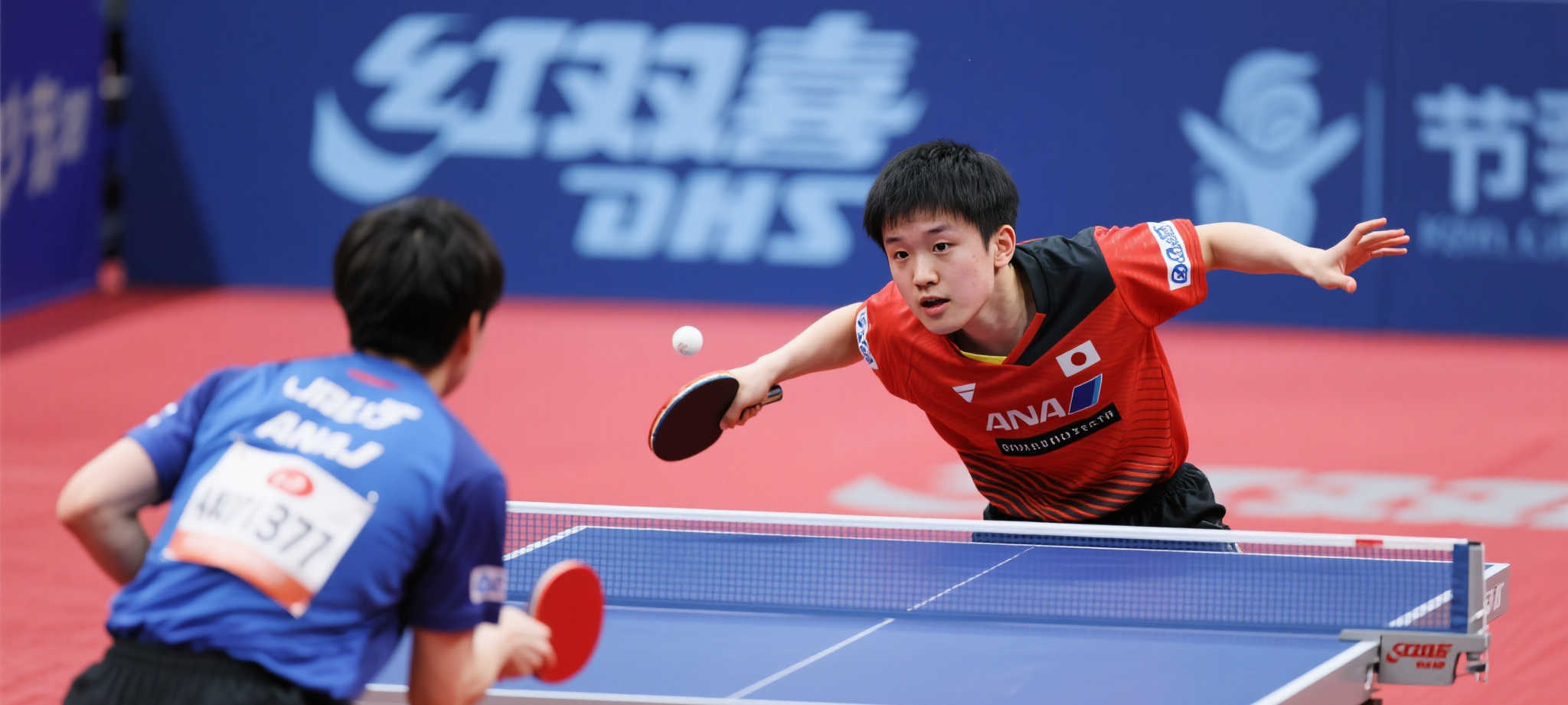 简介华体会体育